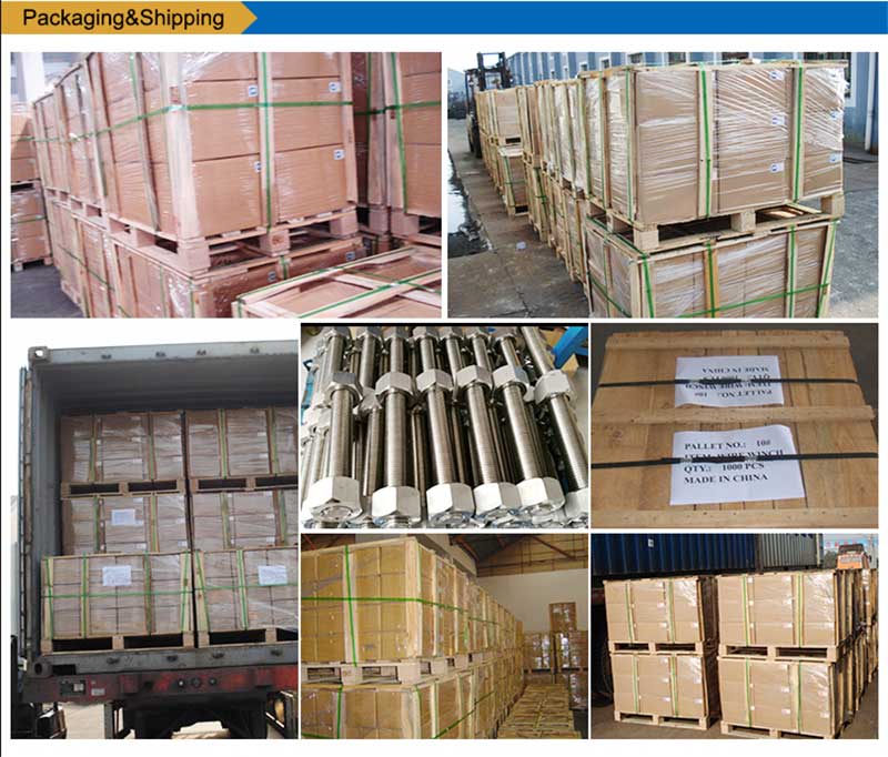 स्टेनलेस-स्टील-यादी-बोल्ट्स-स्क्रू-फास्टनर-पॅकिंग